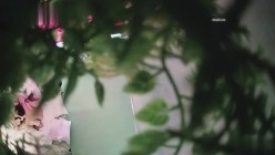 预览图9