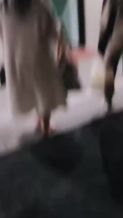 预览图14