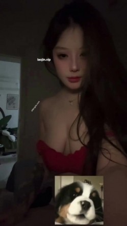 预览图8