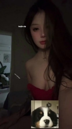 预览图10