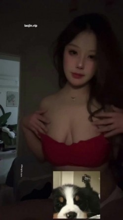 预览图13