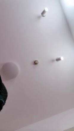 预览图8