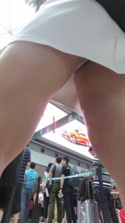 预览图14