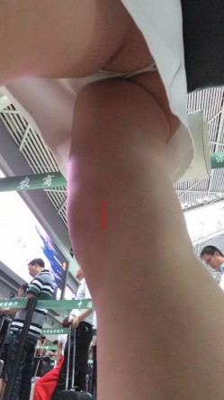 预览图15