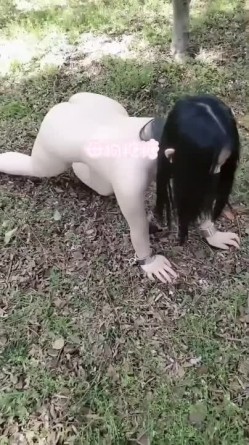 预览图9