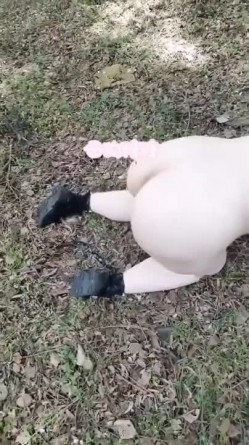 预览图16