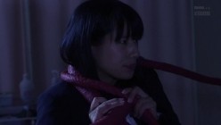 预览图4