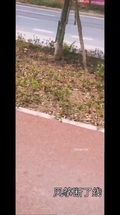 预览图5