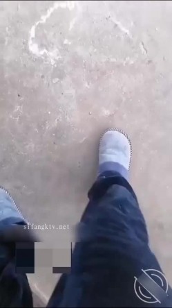 预览图7