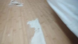 预览图16