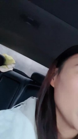 预览图15