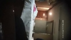 预览图5