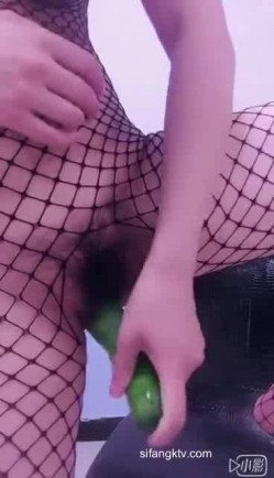 预览图13