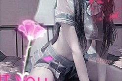 预览图4