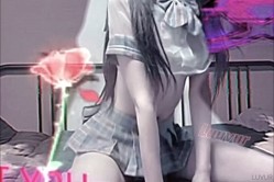 预览图13
