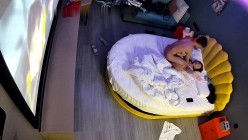 预览图14