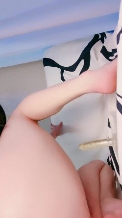预览图5