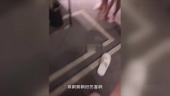 预览图8