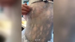 预览图11
