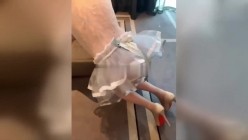 预览图12