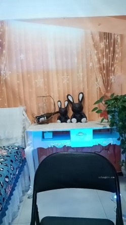 预览图5