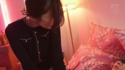 预览图4