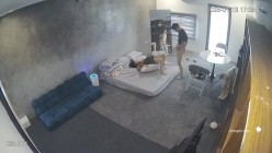 预览图7
