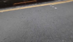 预览图13
