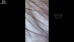 预览图11