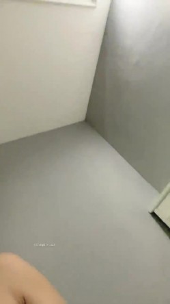 预览图14
