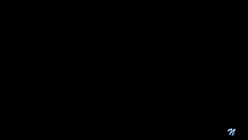 预览图4