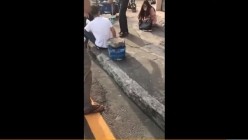 预览图16