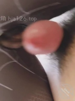 预览图6