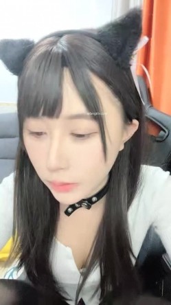 预览图13