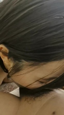 预览图14