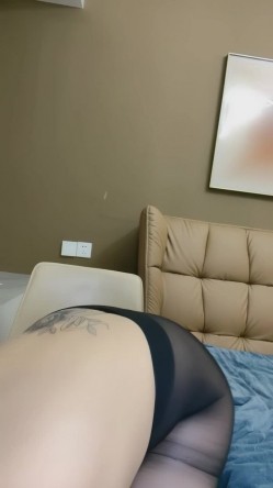 预览图15