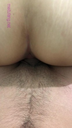 预览图4