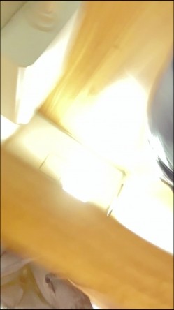 预览图12