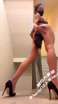 预览图4