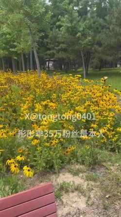 预览图13