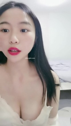 预览图7