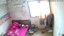 预览图4