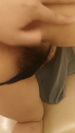 预览图15