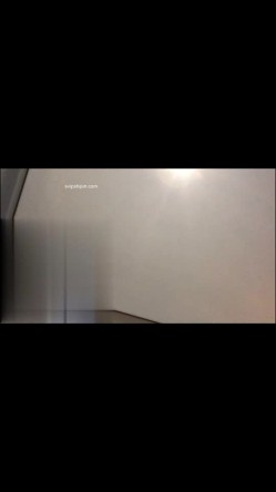 预览图7