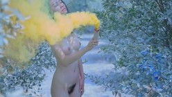 预览图12