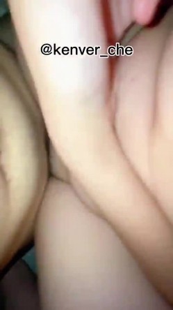 预览图4