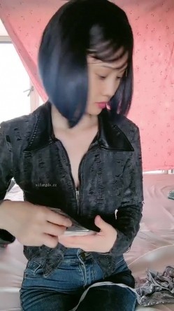 预览图4