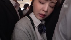 预览图13