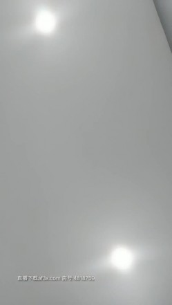 预览图2