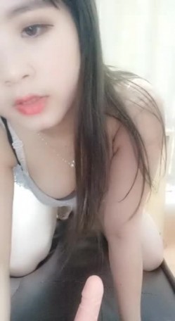 预览图4